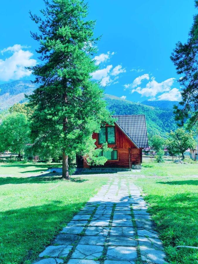 Elephant Family Borjomi Exterior photo